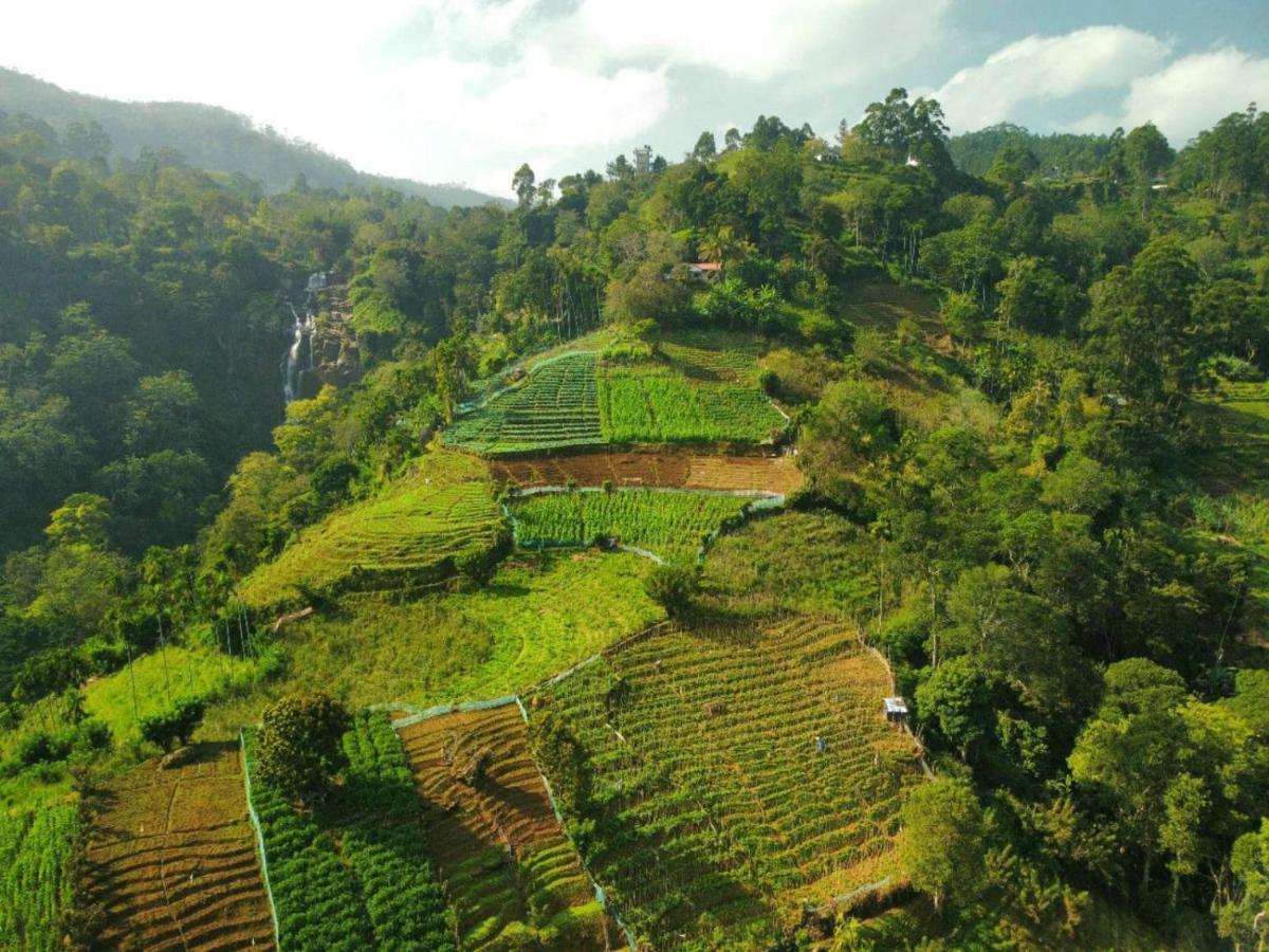 Blue Heaven Cottage Ella Ngoại thất bức ảnh